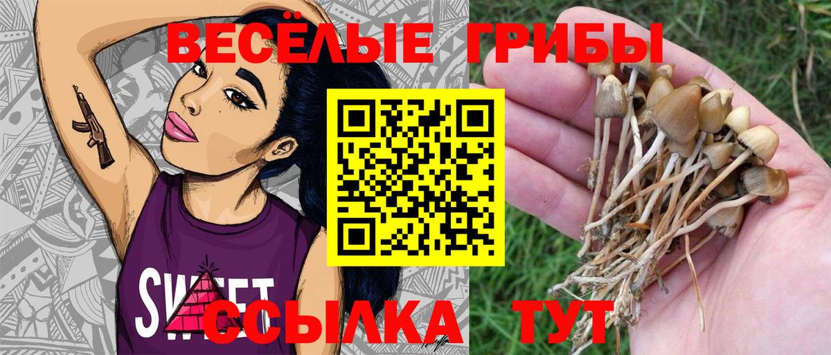 Псилоцибиновые грибы мицелий  Псилоцибиновые грибы мицелий  Вход с VPN  Березники 
